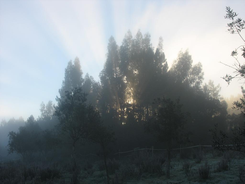 Monte Da Gravita Ribeira do Salto 部屋 写真