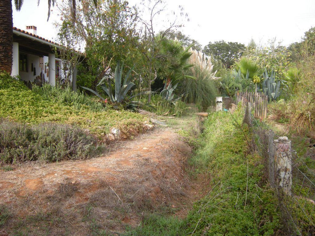Monte Da Gravita Ribeira do Salto 部屋 写真