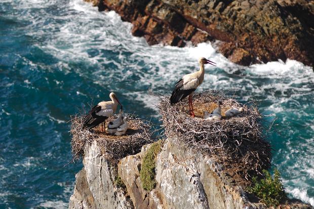 Monte Da Gravita Ribeira do Salto エクステリア 写真